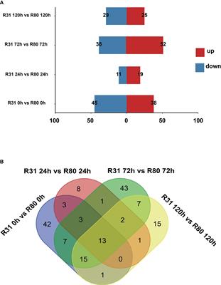 Integrated examination of the transcriptome and metabolome of the gene expression response and metabolite accumulation in soybean seeds for seed storability under aging stress